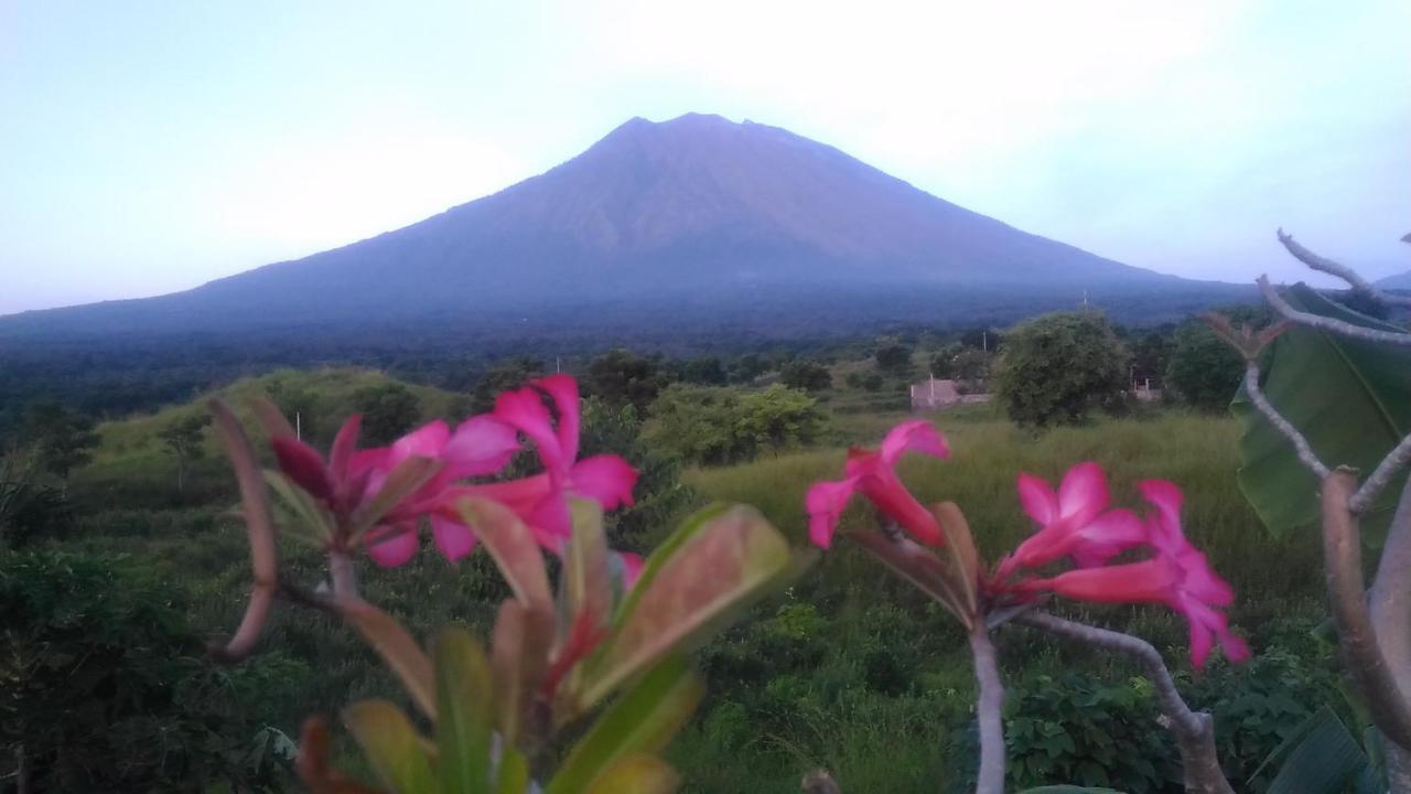 Khrisna Sunrise Homestay Tulamben Buitenkant foto