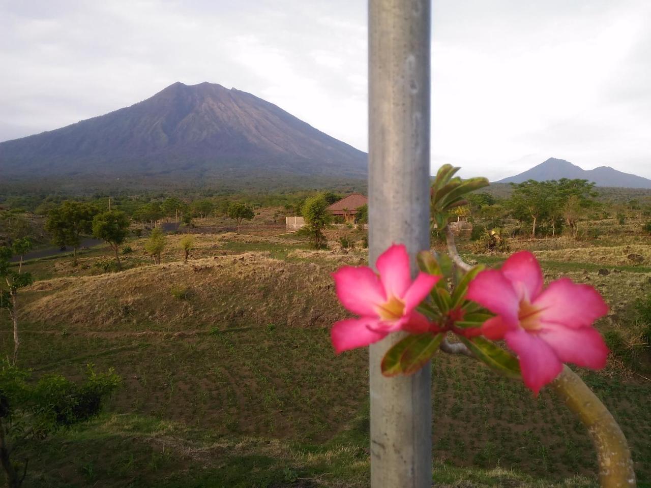 Khrisna Sunrise Homestay Tulamben Buitenkant foto